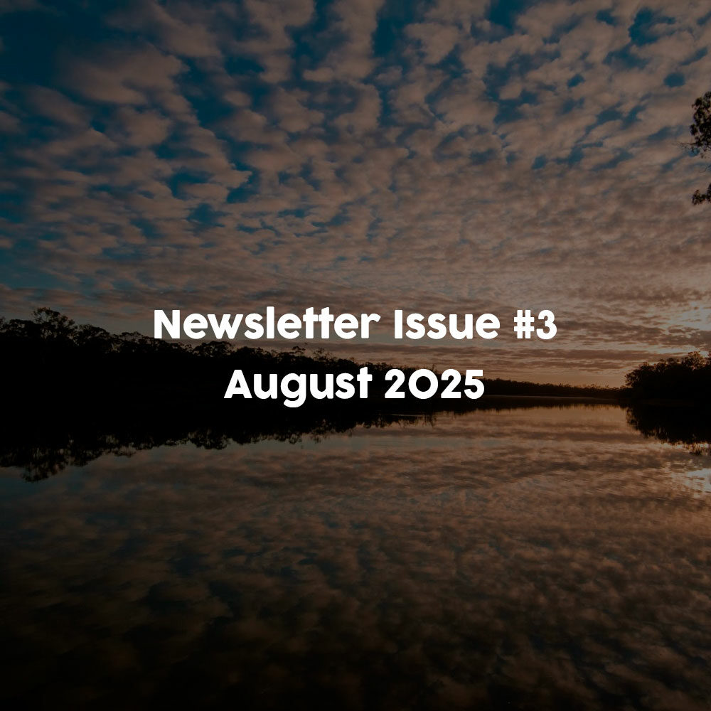 newsletter-issue-3-august-2025